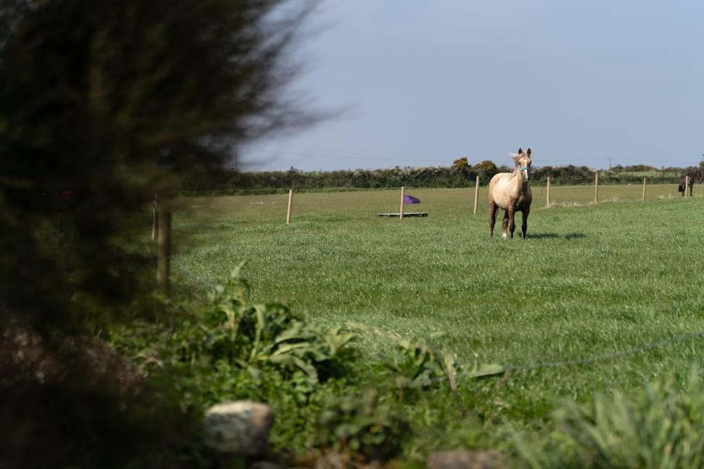 Porthcurno Barns, The Cart Lodge - Cosy Cottage, Walk To Porthcurno Beach, Pedn Vouder & Minack Theatre